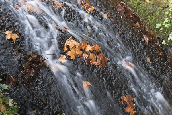Fließendes Wasser Bach Mit Herbstblättern — Stockfoto