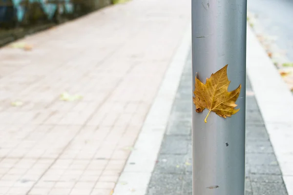 Podzimní Listové Hůl Kovový Pilíř — Stock fotografie