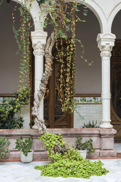 Planta Por Pilares Antiguo Edificio Auténtico — Foto de Stock