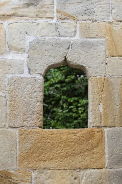 Window Wooden Wall Lush Greenery — Stock Photo, Image