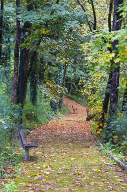 tezgah sonbahar Park foliaged yolu tarafından