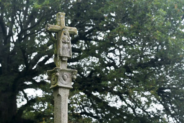 Croce Religiosa Scultura Pietra Con Fogliame Albero Sfondo — Foto Stock