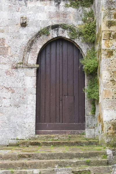 Alte Hausfassade Mit Holztür Und Grünpflanzen — Stockfoto