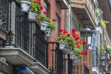 balkon kırmızı çiçek açan çiçekler, Demlikli
