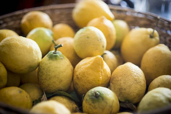 Taze Çekilmiş Homegrown Limon Atış Kapatın — Stok fotoğraf