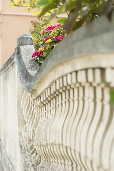 Valla Piedra Auténtica Con Flores Florecientes Rosadas — Foto de Stock