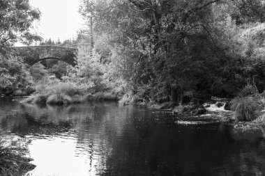 Gölde yansıtan büyüme ile taş köprü