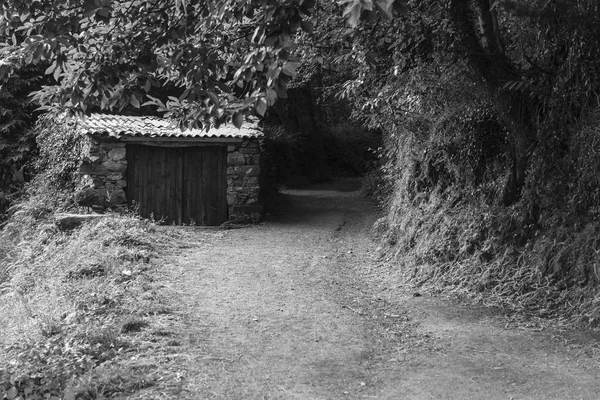 Petit Hangar Clôture Végétale Par Route Rurale Noir Blanc — Photo