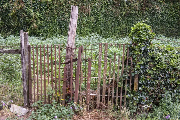 Old Small Fence Lush Greenery — Stock Photo, Image