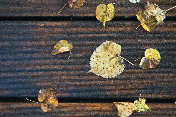 Pohled Shora Mokré Dřevěné Plochy Podzimní Listy — Stock fotografie