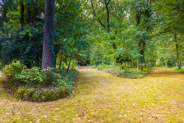 Jalur Berumput Dalam Pemandangan Taman Hijau — Stok Foto