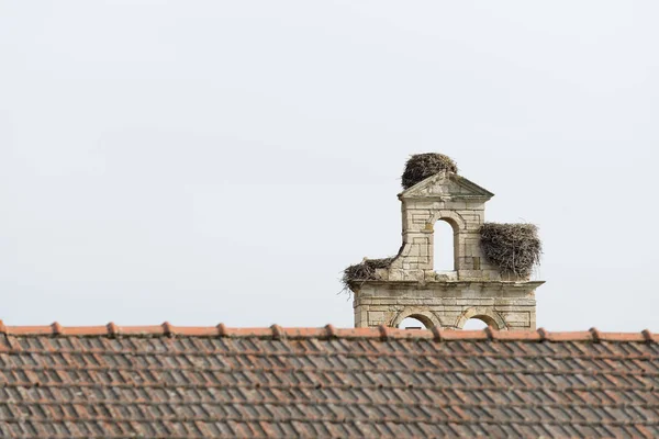 Kamenný Oblouk Ptačí Hnízda Střeše Domu — Stock fotografie