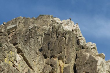 rock mavi gökyüzü ile güneş ışıklı