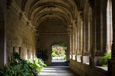 arch corridor with lush green plants clipart