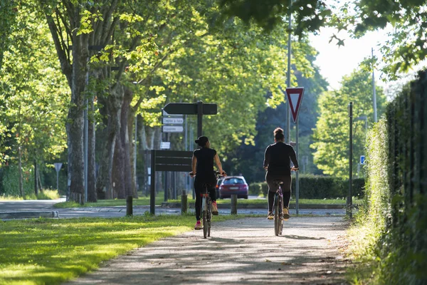 Rear View Two People Riding Bicycles Park — Stock Photo, Image