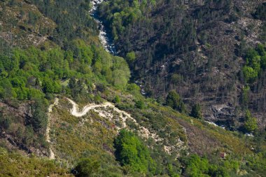 parlak güneş ışığı altında Nehri ile yeşil tepe