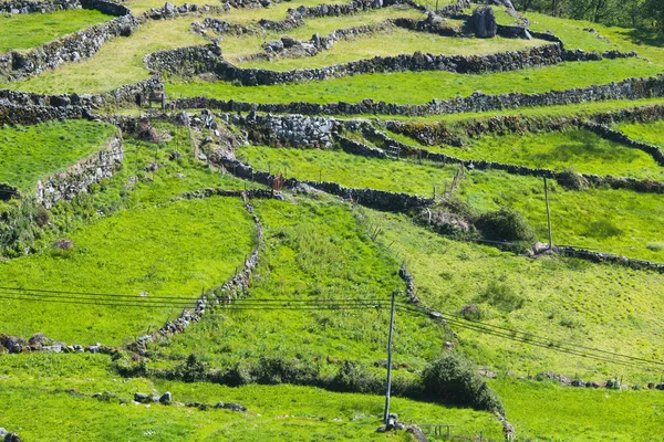 Taş Duvarlar Ile Tarım Alanları Katmanlı — Stok fotoğraf