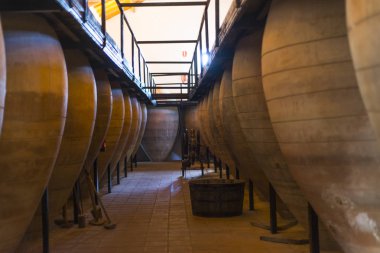 gün ışığında şaraphane iç ahşap varil