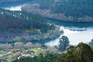 Gür yeşillikler ve evler ile nehir yüksek görünümü