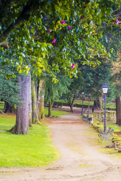 View Park Pathway Greenery Bench — Stock Photo, Image