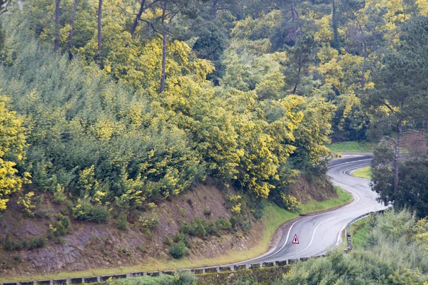 Vista Elevada Estrada Sinuosa Cercada Por Vegetação — Fotografia de Stock