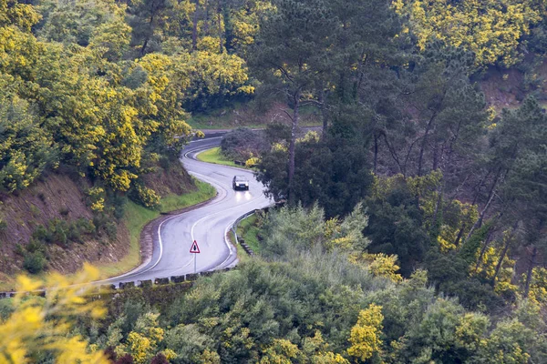 Vista Elevada Estrada Sinuosa Com Carro Movimento Cercado Por Vegetação — Fotografia de Stock