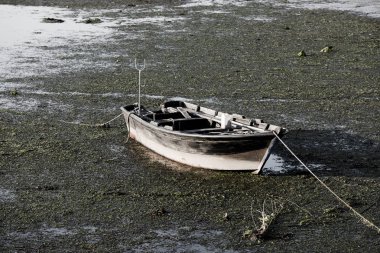 çamurlu bataklık suda eski ahşap tekne