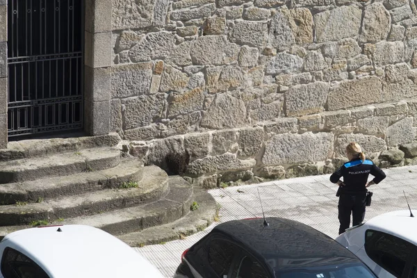 Pontevedra España Mayo 2016 Policía Local Observa Enjambre Avispas Asiáticas — Foto de Stock