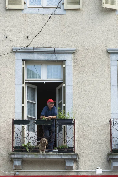 Mann Mit Hund Balkon Vorderseite — Stockfoto