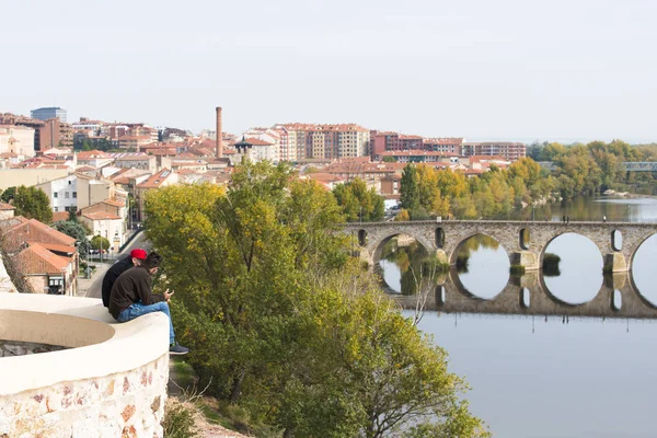Zamora Hiszpania Listopada 2016 Widok Jeden Mostów Które Przechodzą Przez — Zdjęcie stockowe