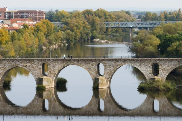 Zamora Hiszpania Listopada 2016 Widok Jeden Mostów Które Przechodzą Przez — Zdjęcie stockowe