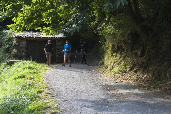 Фурелос Испания Июля 2016 Года Молодые Паломники Рюкзаками Прогуливаются Сельской — стоковое фото