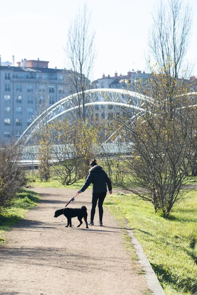 Pontevedra España Enero 2017 Una Mujer Pasea Con Perro Por — Foto de Stock