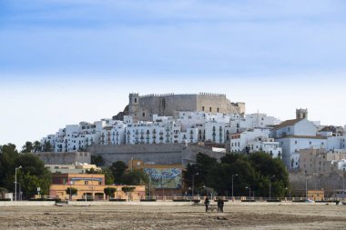 Peiscola, İspanya - 25 Aralık 2016: köy sahilinde köpeklerle yürüyen bir grup kadın