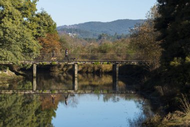Pontevedra, İspanya - 8 Ocak 2017: Şehir parkında köprü üzerinde köpekle yürüyen çift