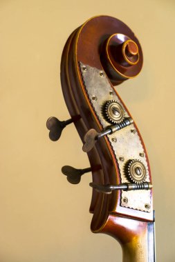 kontrbas ahşap headstock metal detayları, yakın görünüm 