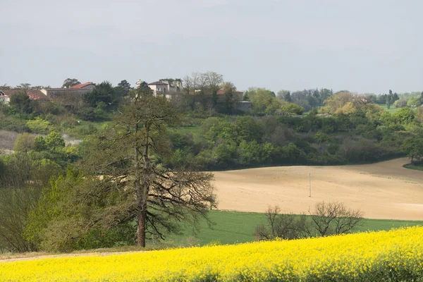 Typische Landschaft Der Französischen Landschaft Mit Kultivierten Feldern — Stockfoto