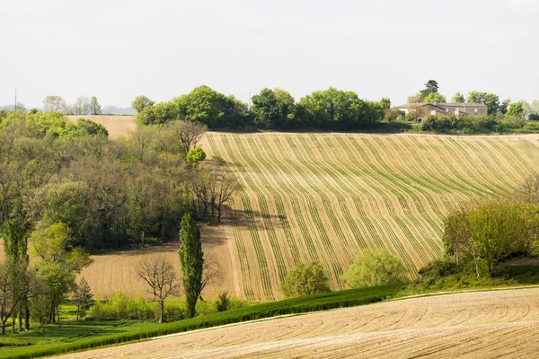 フランスの田園地帯の典型的な風景 栽培されたフィールド — ストック写真