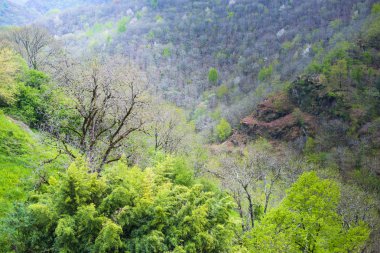Conques Peyzaj (Fransa), nehir Dourdou de Conques vadisinde, ülkenin güneybatısında ve Sainte-Foy Manastırı sayesinde Fransa'nın en önemli hac merkezlerinden biridir.