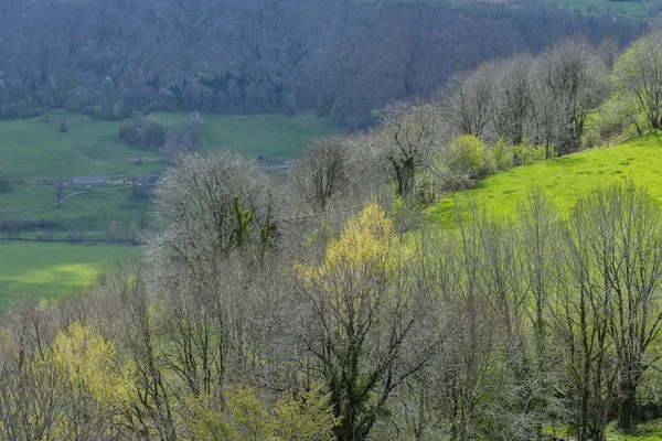 フランスの販売者の村からの谷の眺め — ストック写真