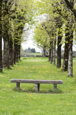 SALERS, FRANCE a bench, in a village park. clipart