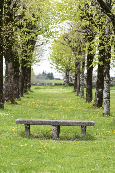 法国塞勒斯 一个乡村公园里的长椅 — 图库照片