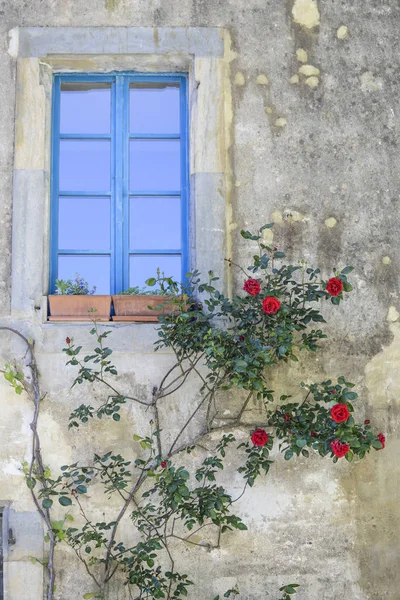 Facade of a house with a rose of red roses