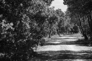 Mota del Marques İspanya 'nın otonom bölgelerinden biri olan Castilla y Leon' un Valladolid eyaletine bağlı belediyesi..