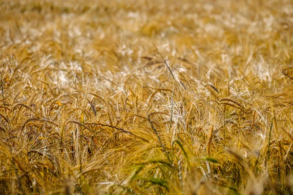 Utsikt Över Byn Mota Del Marques Kommun Spanien Som Ligger — Stockfoto