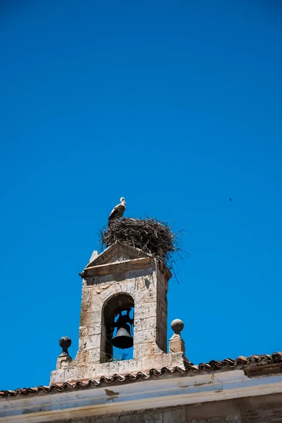 Cegonha Seu Ninho Topo Uma Torre Sineira Uma Igreja Zamora — Fotografia de Stock