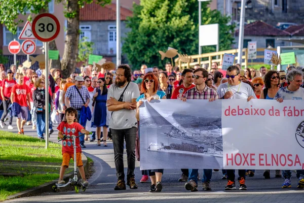 Pontevedra Španělsko Června 2018 Demonstrace Proti Trvalosti Papírenského Průmyslu Pobřežní — Stock fotografie