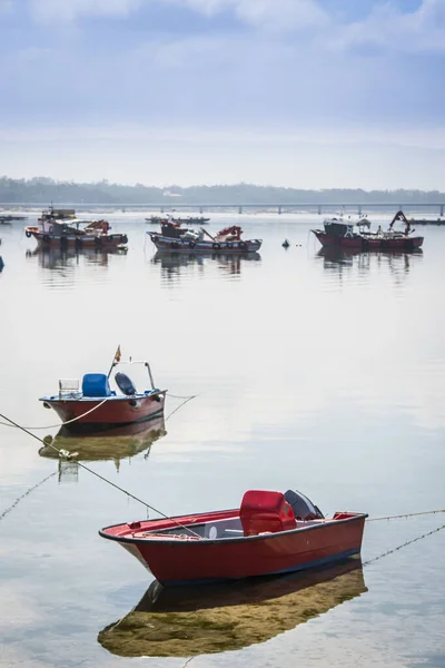Illa Arousa Espanha Junho 2018 Pequenos Barcos Para Pesca Artesanal — Fotografia de Stock