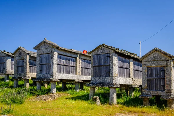 Beresmo Dan Toplanan Ambarlar Galiçya Nın Önemli Uçakla Değil Ourense — Stok fotoğraf