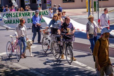PONTEVEDRA, İspanya - 16 Haziran 2019: Ria de Pontevedra kıyılarında yer alan pasta endüstrisine karşı ekolojik gösteri.